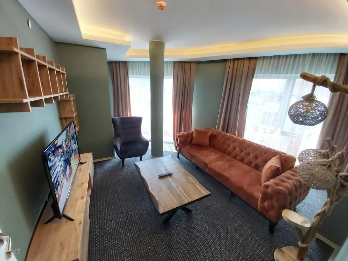 Arena Suite Hotel Istanbul Turkiet